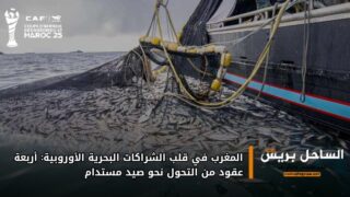 المغرب في قلب الشراكات البحرية الأوروبية: أربعة عقود من التحول نحو صيد مستدام