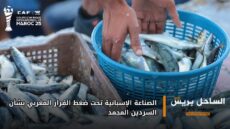 الصناعة الإسبانية تحت ضغط القرار المغربي بشأن السردين المجمد