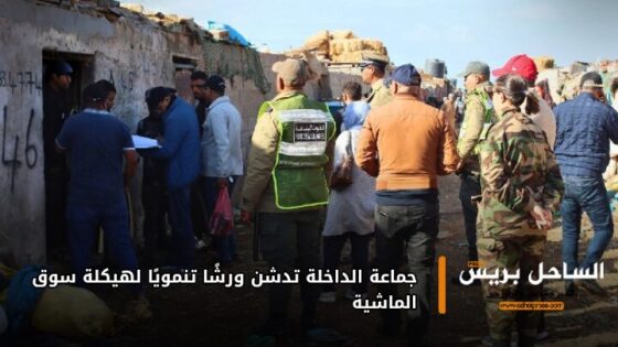 جماعة الداخلة تدشن ورشًا تنمويًا لهيكلة سوق الماشية