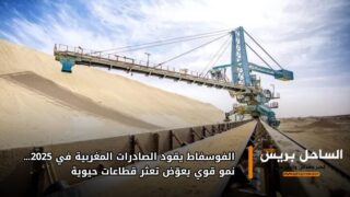 الفوسفاط يقود الصادرات المغربية في 2025… نمو قوي يعوّض تعثر قطاعات حيوية