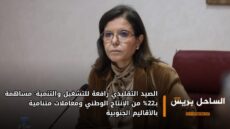 الصيد التقليدي رافعة للتشغيل والتنمية: مساهمة بـ22% من الإنتاج الوطني ومعاملات متنامية بالأقاليم الجنوبية