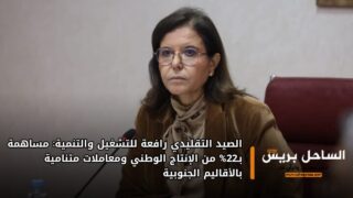 الصيد التقليدي رافعة للتشغيل والتنمية: مساهمة بـ22% من الإنتاج الوطني ومعاملات متنامية بالأقاليم الجنوبية