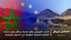 الاتحاد الأوروبي يفعّل تعديلاً يسهّل ولوج منتجات الأقاليم الجنوبية المغربية إلى السوق الأوروبية