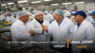 أرباب معامل السردين يرفعون الصوت دفاعًا عن حقوقهم