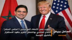 المغرب ضمن الأعضاء المؤسسين لـ“مجلس السلام”.. اجتماع افتتاحي بواشنطن لتعزيز جهود الاستقرار بالشرق الأوسط