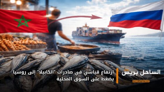 ارتفاع قياسي في صادرات “الكابيلا” إلى روسيا يضغط على السوق المحلية