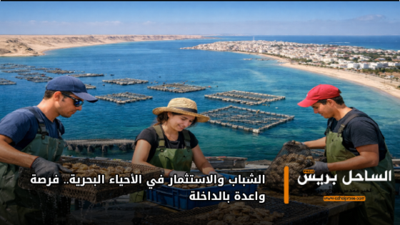 الشباب والاستثمار في الأحياء البحرية.. فرصة واعدة بالداخلة