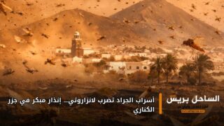 أسراب الجراد تضرب لانزاروتي… إنذار مبكر في جزر الكناري