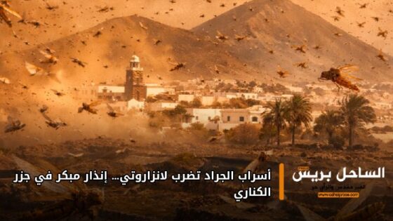 أسراب الجراد تضرب لانزاروتي… إنذار مبكر في جزر الكناري
