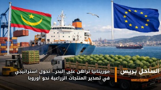 موريتانيا تراهن على البحر… تحول استراتيجي في تصدير المنتجات الزراعية نحو أوروبا