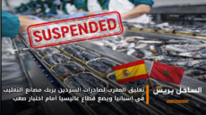 تعليق المغرب لصادرات السردين يربك مصانع التعليب في إسبانيا ويضع قطاع غاليسيا أمام اختبار صعب