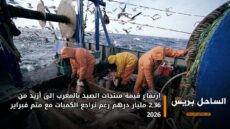 ارتفاع قيمة منتجات الصيد بالمغرب إلى أزيد من 2,36 مليار درهم رغم تراجع الكميات مع متم فبراير 2026