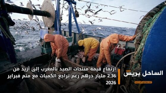 ارتفاع قيمة منتجات الصيد بالمغرب إلى أزيد من 2,36 مليار درهم رغم تراجع الكميات مع متم فبراير 2026