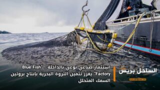 استثمار صناعي نوعي بالداخلة… “Blue Fish Factory” يعزز تثمين الثروة البحرية بإنتاج بروتين السمك المتحلل