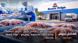 زيارة ميدانية لـ“الساحل بريس” تكشف دينامية وحدة تجميد الأخطبوط “بوفريكو – Beaux Frigo” بالداخلة