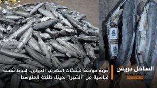 ضربة موجعة لشبكات التهريب الدولي.. إحباط شحنة قياسية من “الشيرا” بميناء طنجة المتوسط