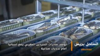 توقف صادرات السردين المغربي يضع إسبانيا أمام تحديات صناعية