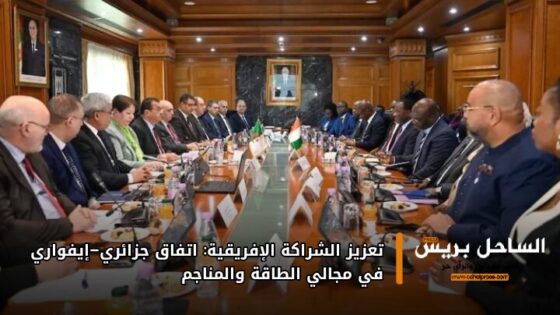تعزيز الشراكة الإفريقية: اتفاق جزائري–إيفواري في مجالي الطاقة والمناجم