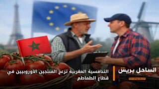 التنافسية المغربية تزعج المنتجين الأوروبيين في قطاع الطماطم