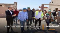 جماعة الداخلة تُراهن على سوق حديث لتنظيم قطاع الماشية