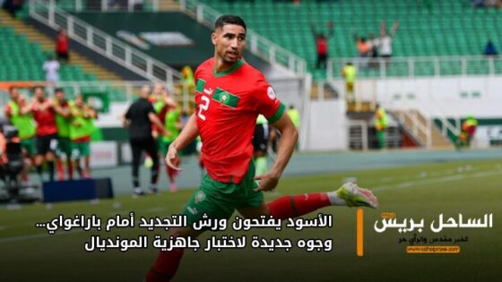 الأسود يفتحون ورش التجديد أمام باراغواي… وجوه جديدة لاختبار جاهزية المونديال