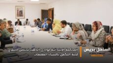 المحكمة الابتدائية لوادي الذهب تحتضن اجتماع لجنة التكفل بالنساء المعنفات