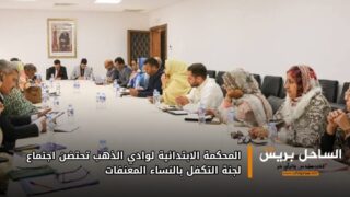 المحكمة الابتدائية لوادي الذهب تحتضن اجتماع لجنة التكفل بالنساء المعنفات