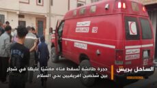 حجرة طائشة تُسقط فتاة مغشيًا عليها في شجار بين شخصين افريقيين بحي السلام