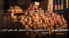 البصل الهولندي يقتحم الأسواق.. هل ينهي أزمة الندرة؟