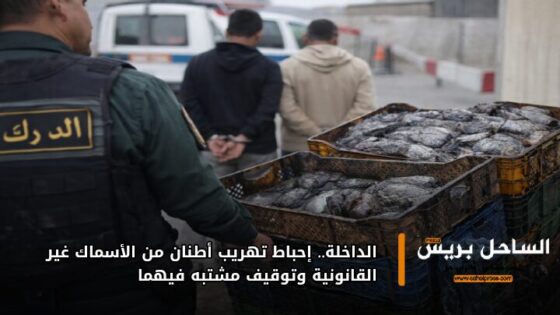 الداخلة.. إحباط تهريب أطنان من الأسماك غير القانونية وتوقيف مشتبه فيهما
