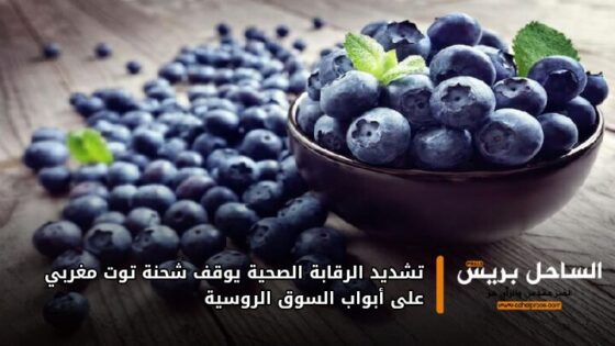 تشديد الرقابة الصحية يوقف شحنة توت مغربي على أبواب السوق الروسية