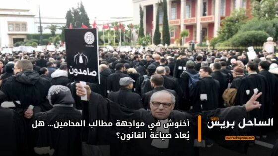 أخنوش في مواجهة مطالب المحامين… هل يُعاد صياغة القانون؟