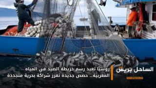 روسيا تعيد رسم خريطة الصيد في المياه المغربية… حصص جديدة تعزز شراكة بحرية متجددة