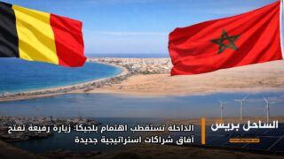 الداخلة تستقطب اهتمام بلجيكا: زيارة رفيعة تفتح آفاق شراكات استراتيجية جديدة