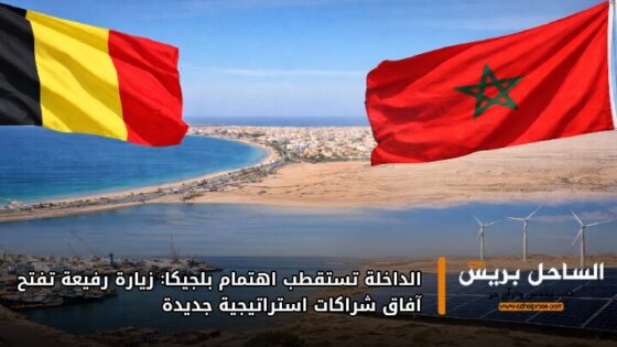 الداخلة تستقطب اهتمام بلجيكا: زيارة رفيعة تفتح آفاق شراكات استراتيجية جديدة