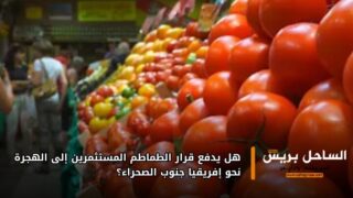 هل يدفع قرار الطماطم المستثمرين إلى الهجرة نحو إفريقيا جنوب الصحراء؟