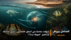 تحوّلات صامتة في أعماق الأطلسي… خليج الداخلة يستقبل “ضيوفًا جددًا”!
