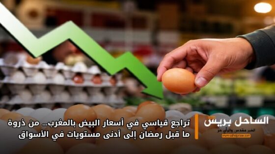 تراجع قياسي في أسعار البيض بالمغرب… من ذروة ما قبل رمضان إلى أدنى مستويات في الأسواق