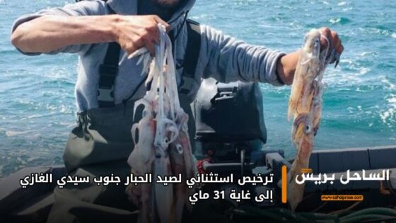 ترخيص استثنائي لصيد الحبار جنوب سيدي الغازي إلى غاية 31 ماي