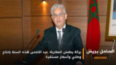 بركة يطمئن المغاربة: عيد الأضحى هذه السنة بإنتاج وطني وأسعار مستقرة