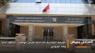 الغرفة الفلاحية بالداخلة تعرض مؤهلات الجهة أمام وفد أوروبي