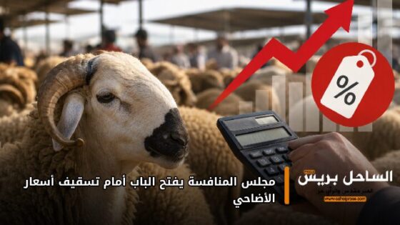 مجلس المنافسة يفتح الباب أمام تسقيف أسعار الأضاحي