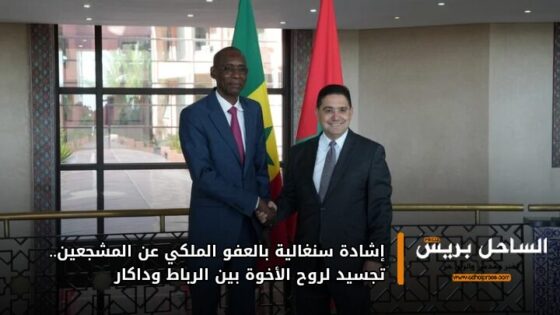 إشادة سنغالية بالعفو الملكي عن المشجعين.. تجسيد لروح الأخوة بين الرباط وداكار