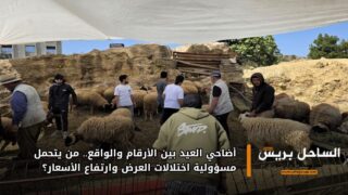 أضاحي العيد بين الأرقام والواقع.. من يتحمل مسؤولية اختلالات العرض وارتفاع الأسعار؟