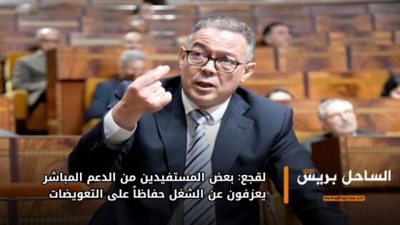 لقجع: بعض المستفيدين من الدعم المباشر يعزفون عن الشغل حفاظاً على التعويضات
