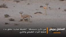 في ذكرى تأسيسها.. “الطبيعة مبادرة” تطلق نداءً لحماية التراث الطبيعي والأثري