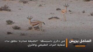 في ذكرى تأسيسها.. “الطبيعة مبادرة” تطلق نداءً لحماية التراث الطبيعي والأثري