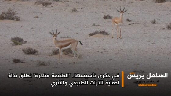 في ذكرى تأسيسها.. “الطبيعة مبادرة” تطلق نداءً لحماية التراث الطبيعي والأثري