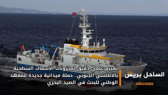 تقييم علمي دقيق لمخزونات الأسماك السطحية بالأطلسي الجنوبي.. حملة ميدانية جديدة للمعهد الوطني للبحث في الصيد البحري