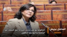 الحكومة تواصل تحديث مسالك بيع السمك عبر الرقمنة والتوسيع الجهوي